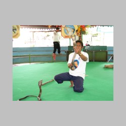 na wezowej farmie po drodze....html